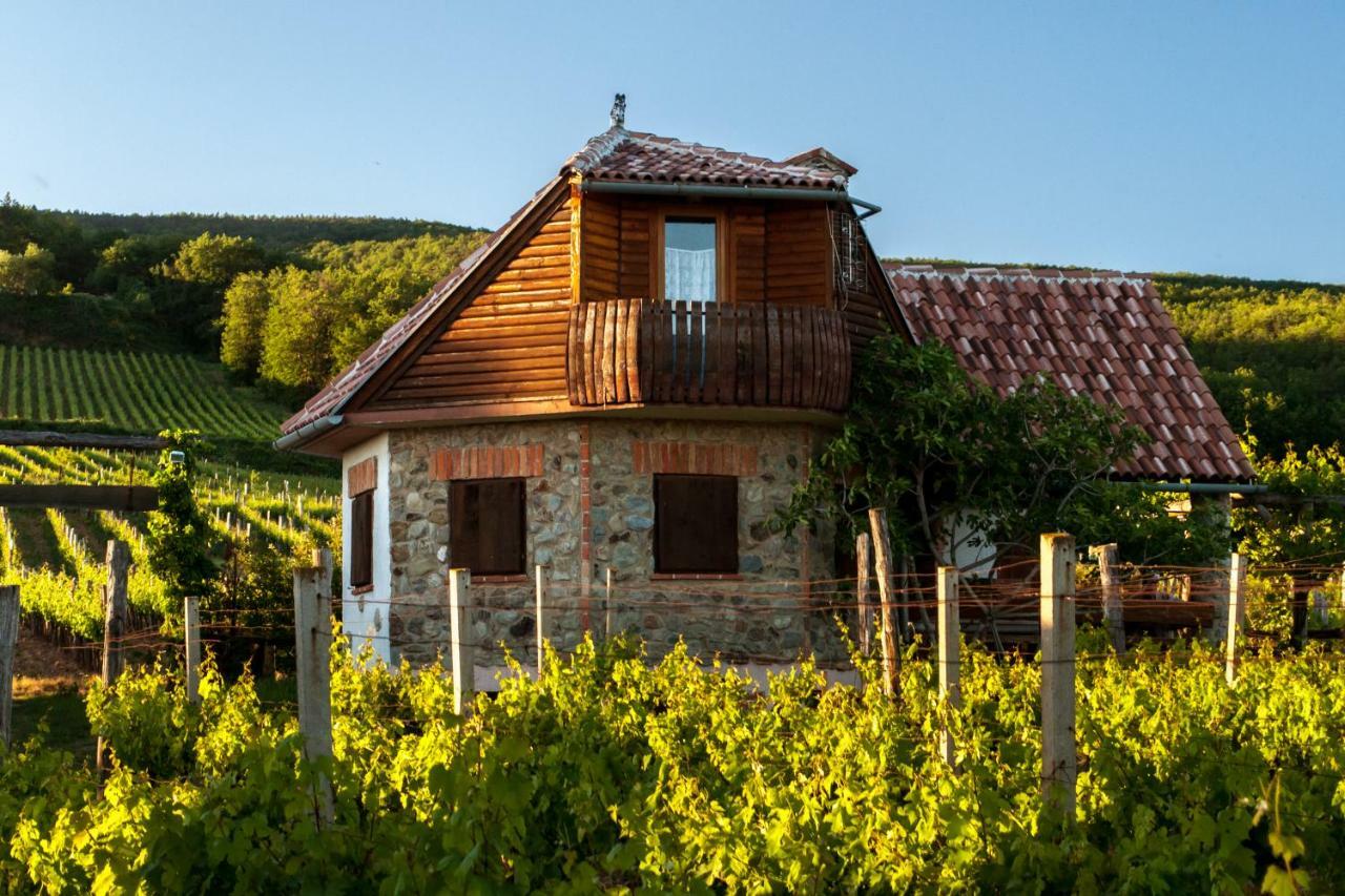 Robinson Vila Kitokret Kutjevo Ngoại thất bức ảnh